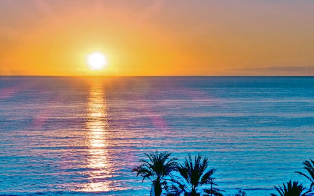 63c2339b-0303-48fd-81e7-027619767a34