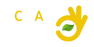 idea plan action-center
